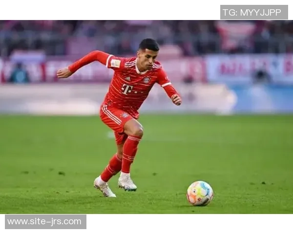 坎塞洛的足球旅程：从天才少年到世界级后卫的蜕变与挑战